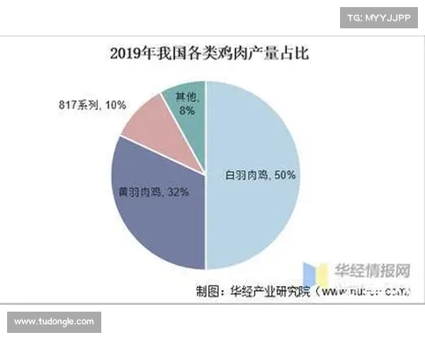 2025年足球转会市场行情分析与未来趋势展望报告 2025年足球转会市场行情分析与未来趋势展望报告