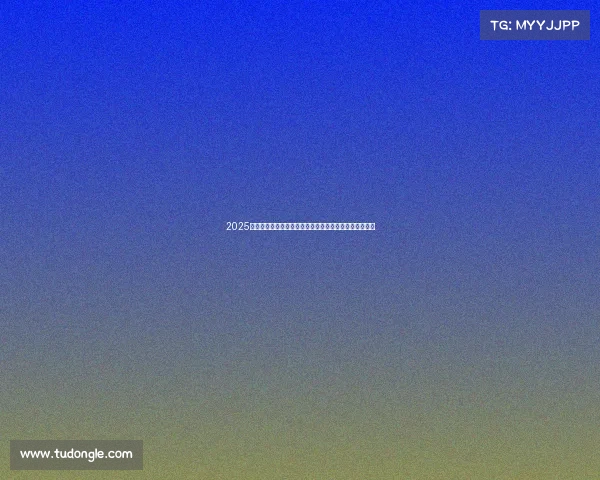 2025年夏季足球转会窗口开放时间及各大俱乐部交易动态分析