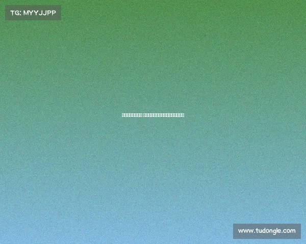 五大阵容冲击欧冠 你会选择哪位球员作为核心打造球队 五大阵容冲击欧冠 你会选择哪位球员作为核心打造球队