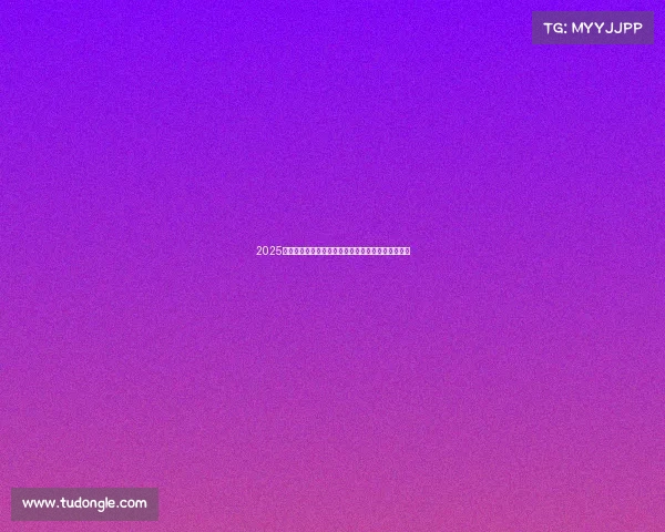 2025年网球比赛裁判员名单揭晓及其背后的选拔标准解析