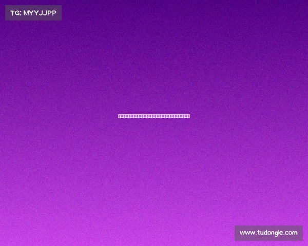 聚焦球队老板：如何通过战略布局与管理决策引领球队走向辉煌